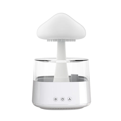 Humidificateur de champignons