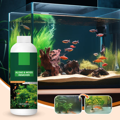 🐠 ACHETEZ 1 - RECEVEZ 1 GRATUIT ! 🌿 Éliminateur d'Algues pour Aquarium - Purification Sûre et Rapide sans Nocivité pour les Poissons 💧✨