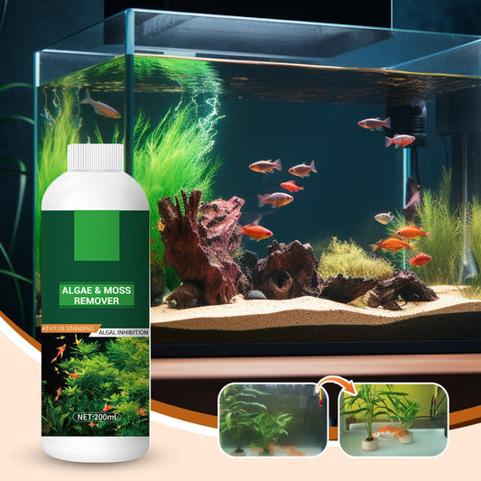 🐠 ACHETEZ 1 - RECEVEZ 1 GRATUIT ! 🌿 Éliminateur d'Algues pour Aquarium - Purification Sûre et Rapide sans Nocivité pour les Poissons 💧✨