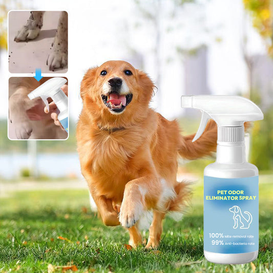 🌿Spray désodorisant pour animaux domestiques🐕🌟