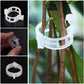 🗜️Clips pour plantes grimpantes – Attaches en plastique pour tomates et plantes grimpantes 🌱🍅
