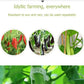 🗜️Clips pour plantes grimpantes – Attaches en plastique pour tomates et plantes grimpantes 🌱🍅