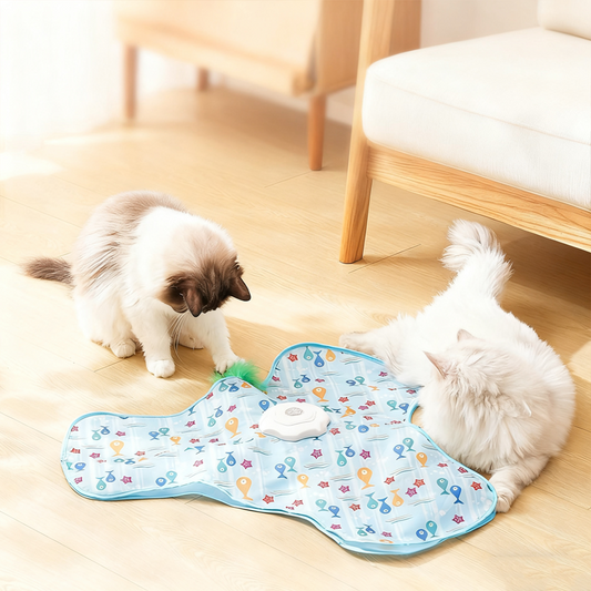 🎄Bestseller de Noël – 60% OFF⚡Jouet cache-cache 2 en 1 pour chat