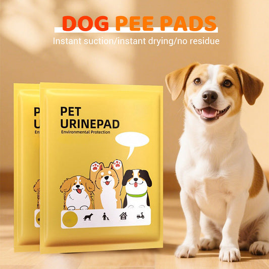 Tapis absorbants pour chiens
