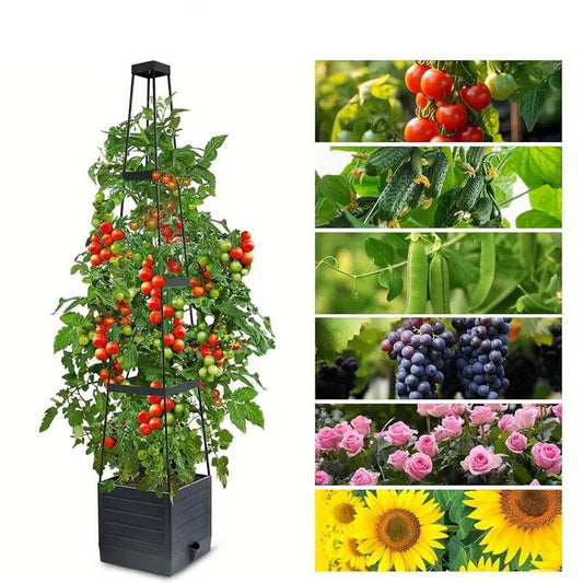 Jardinières surélevées avec treillis
