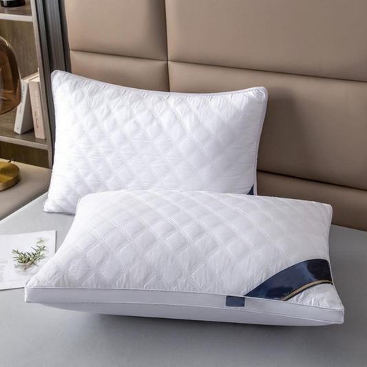 Oreillers alternatifs au duvet doux et résilients (une paire)