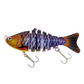 🎣 50% DE RÉDUCTION! 🐟 Leurre de Pêche Natatoire Bionique Multi-Segmenté – Mouvement Réaliste, Design Attractif & Idéal Pour Capturer Les Gros Poissons 🌊