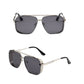 📢📢50 % DE RÉDUCTION !!! ✨Lunettes de soleil rétro pour homme à double pont et monture métallique