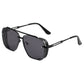 📢📢50 % DE RÉDUCTION !!! ✨Lunettes de soleil rétro pour homme à double pont et monture métallique