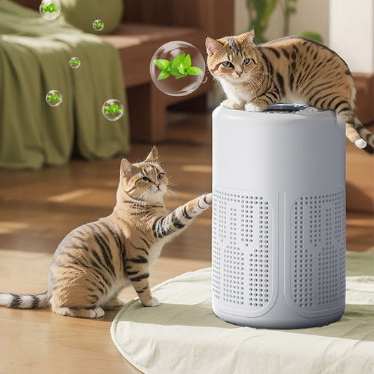 🌬️ 60 % DE RÉDUCTION! 🏠 Purificateur d'air pour la maison – Filtration multicouche, grande surface de couverture et fonctionnement ultra-silencieux ✨