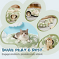 🐈 Limited-Time Offer: 50% Off Washable Cat Tunnel Bed