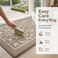 📢50% de Réduction Maintenant !✨Tapis d'Entrée Antidérapant Piège-Poussière