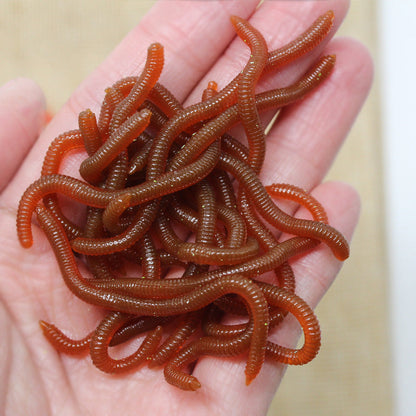 📢📢40 % DE RÉDUCTION !! ⏰Leurres Souples Imitation Vers de Terre Parfumés à la Crevette – 8 cm, Rouge & Marron for Pêche en Rivière ou Mer ✨